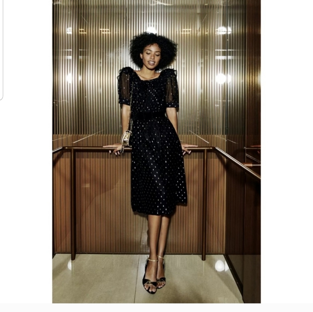 ba&sh Dress - Picture 6 of 7